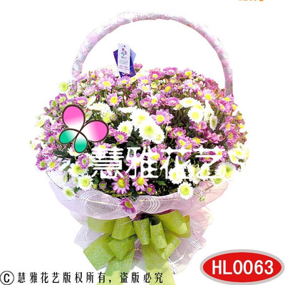 小雛菊花籃 一抹淡雅花語，織就你心動(dòng)瞬間的生活序詩